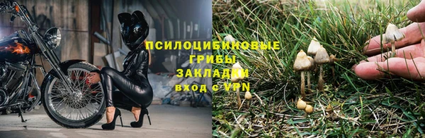 индика Абдулино