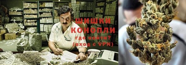 ПСИЛОЦИБИНОВЫЕ ГРИБЫ Алзамай