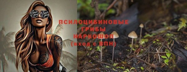 меф Алексин