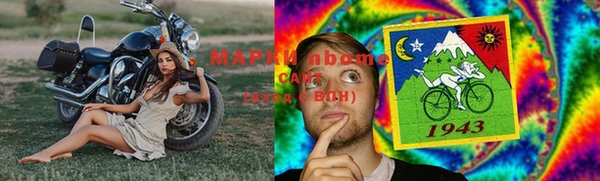 ПСИЛОЦИБИНОВЫЕ ГРИБЫ Алзамай
