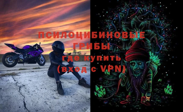 ПСИЛОЦИБИНОВЫЕ ГРИБЫ Алзамай