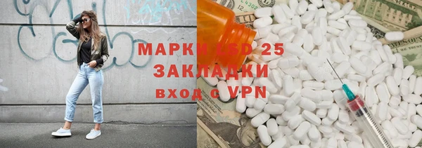 ПСИЛОЦИБИНОВЫЕ ГРИБЫ Алзамай