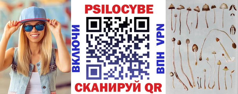 Псилоцибиновые грибы Cubensis  blacksprut сайт  Ефремов 